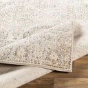 Indigo IGO-2306 Beige / Black Rug