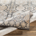 Indigo IGO-2307 Beige / Black Rug