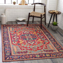 Iris IRS-2317 Burgandy / Burnt Orange Rug