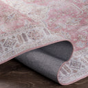 Iris IRS-2321 Blush / Brown Rug