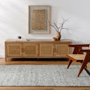 Jadie JDE-2300 Rug