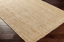 Kerala KER-2300 Light Beige / Tan Rug