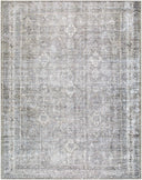 Kemer KMR-2311 Aqua / Beige Rug