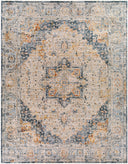 Laila LAA-2313 Charcoal / Cream Rug