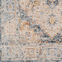 Laila LAA-2313 Charcoal / Cream Rug