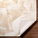 Langley LGY-2301 Rug