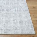 Lorenz LTZ-2304 Gray / Ivory Rug