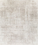 Lucknow LUC-2303 Charcoal / Medium Gray Rug