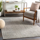 Livorno LVN-2302 Gray / Tan Rug