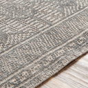 Livorno LVN-2302 Gray / Tan Rug