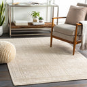 Livorno LVN-2303 Beige / Tan Rug