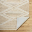 Lyna LYA-2339 Beige / Light Brown Rug
