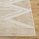 Lyna LYA-2339 Beige / Light Brown Rug