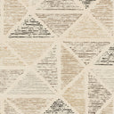 Melody MDY-2004 Black / Brown Rug
