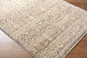 Misterio Plus MIP-2301 Brown / Cream Rug