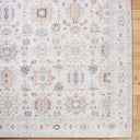 Marlon MLO-2311 Dark Brown / Dusty Coral Rug