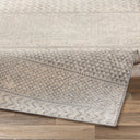 Monaco MOC-2306 Gray / Ivory Rug