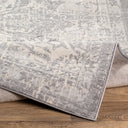 Monaco MOC-2328 Gray / Ivory Rug