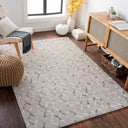 Medora MOD-1010 Beige / Charcoal Rug
