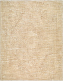 Masterpiece MPC-2335 Light Gray / Tan Rug