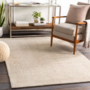 Messina MSN-2300 Light Gray / White Rug
