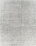 Messina MSN-2302 Gray / White Rug