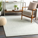 Messina MSN-2304 Slate / White Rug