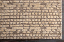 Montclair MTC-2304 Beige / Dark Brown Rug