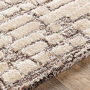 Montclair MTC-2304 Beige / Dark Brown Rug