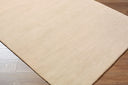 Modest MTD-2304 Rug