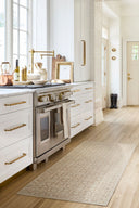 Aram NBAR-2300 Beige / Light Brown Rug