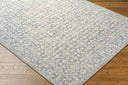 Aram NBAR-2302 Beige / Denim Rug
