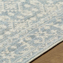Aram NBAR-2302 Beige / Denim Rug