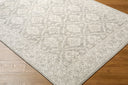 Aram NBAR-2304 Beige / Gray Rug