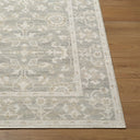 Asha NBAS-2301 Mustard / Off-White Rug