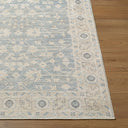 Asha NBAS-2304 Mustard / Off-White Rug