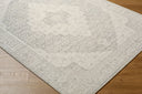 Athiyo NBAT-2301 Beige / Gray Rug