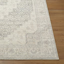 Athiyo NBAT-2301 Beige / Gray Rug