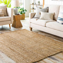 Natural Braids NBD-2300 Tan Rug
