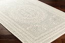 Newcastle NCS-2306 Ivory / Sage Rug