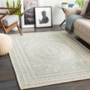 Newcastle NCS-2306 Ivory / Sage Rug