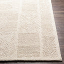 Newcastle NCS-2314 Cream Rug