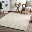 Neravan NER-1003 Ivory Rug