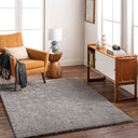 Nomadic NMC-2303 Medium Gray Rug