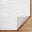 Nomadic NMC-2304 Ivory Rug