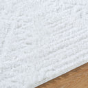 Nomadic NMC-2304 Ivory Rug