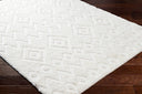 Nomadic NMC-2306 Ivory Rug