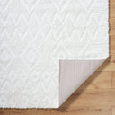 Nomadic NMC-2306 Ivory Rug
