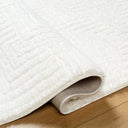 Nomadic NMC-2314 Ivory Rug