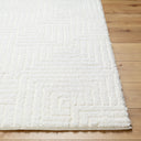 Nomadic NMC-2314 Ivory Rug